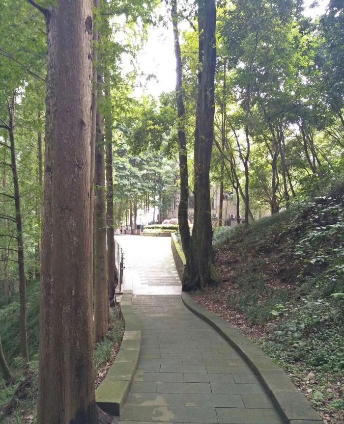 A scenic view of Yaan Mingde Zhongxue Jiuzhi