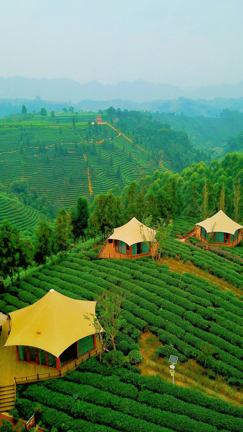 A scenic view of Yaan Mingshan Wenmiao