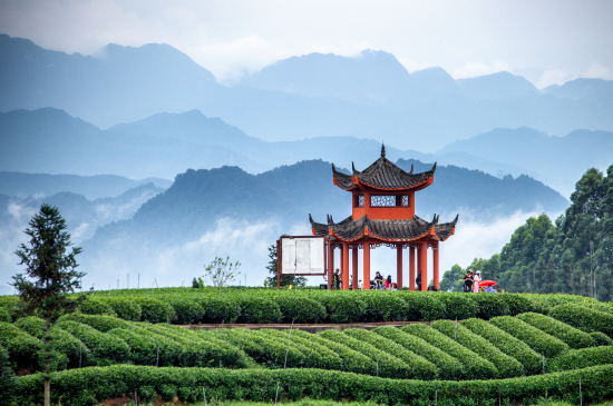 A scenic view of Yaan Mingshan Wenmiao