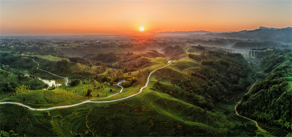 A scenic view of Yaan Yangquanmen Gudao Yizhi