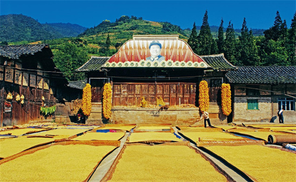 A scenic view of Yaan Yangquanmen Gudao Yizhi