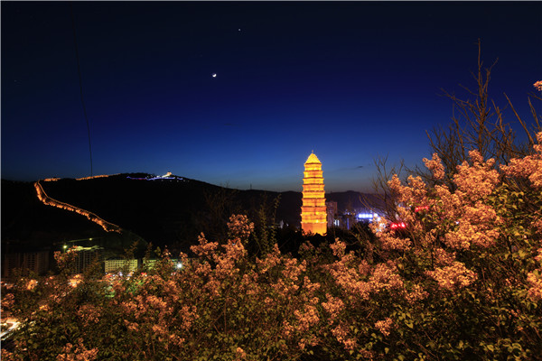 A scenic view of Yanan Baishan Temple Pagoda