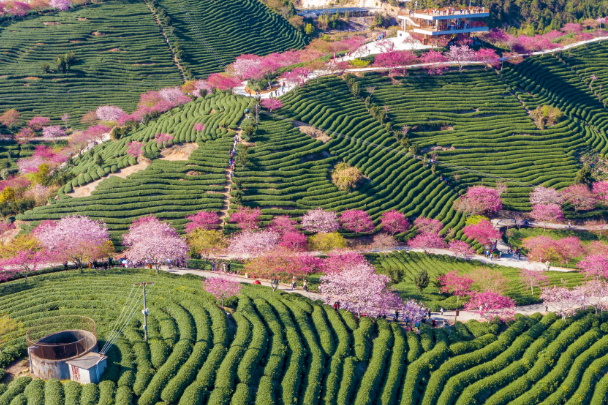 A scenic view of Yanan Qin Zhidao Yanan Section