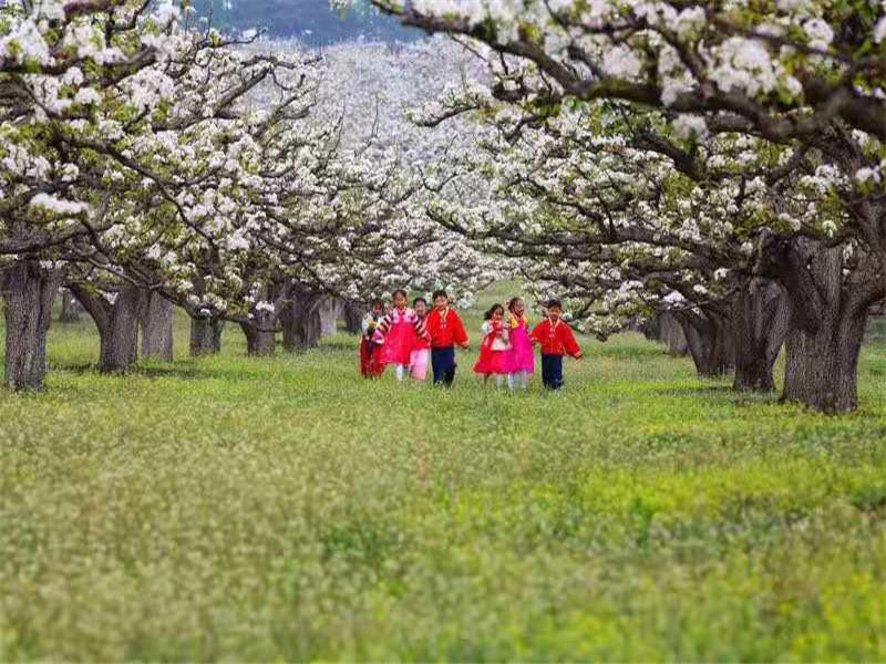 A scenic view of Yanbian Baicaogou Yizhi