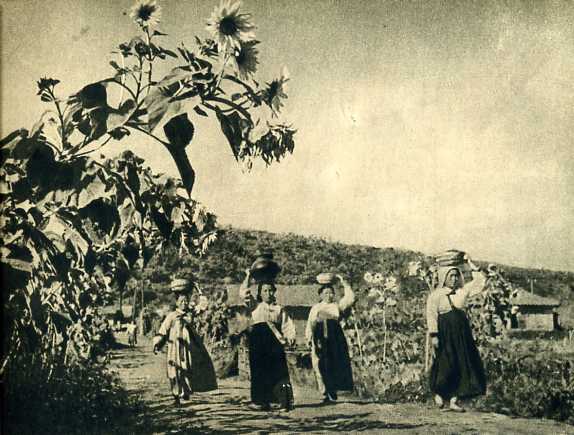 A scenic view of Yanbian Yanji Bianwu Dugongshu Jiuzhi