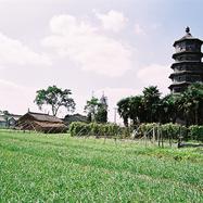 A scenic view of Yancheng Xinsijun Yanfuqu Kangri Zhenwang Jiangshi Jinianta