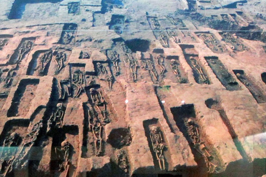 A scenic view of Yangzhou Longqiuzhuang Yizhi