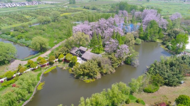 Unveiling Yangzhou Longqiuzhuang Yizhi: Your Ultimate Travel Experience