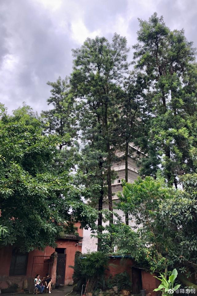A scenic view of Yibin Jiuzhouta