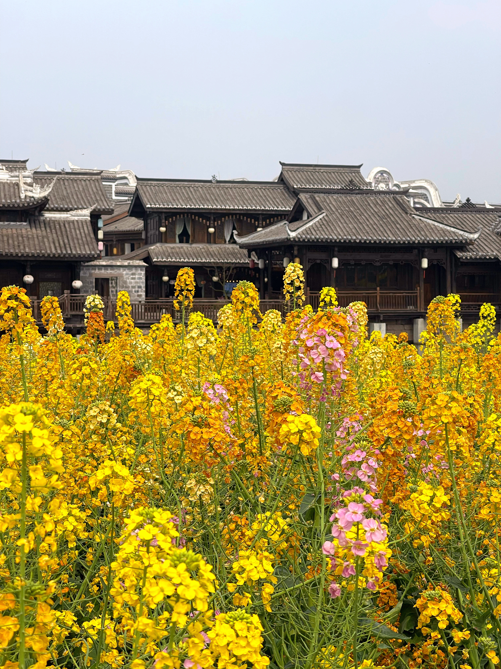 A scenic view of Yibin Wuliangye Laojiaochi Yizhi
