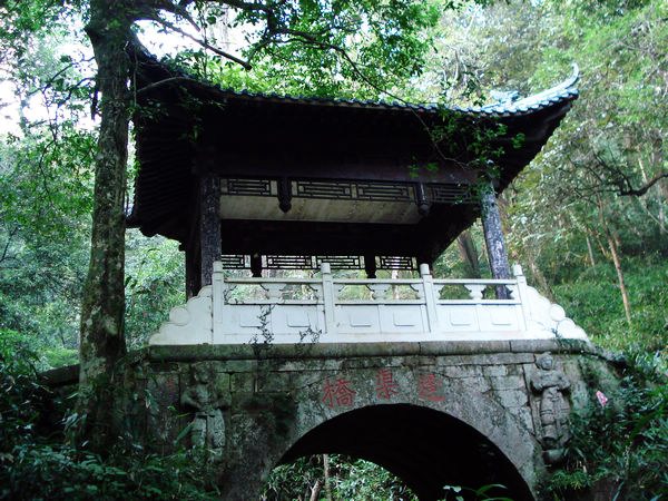 A scenic view of Yichun Fengquqiao