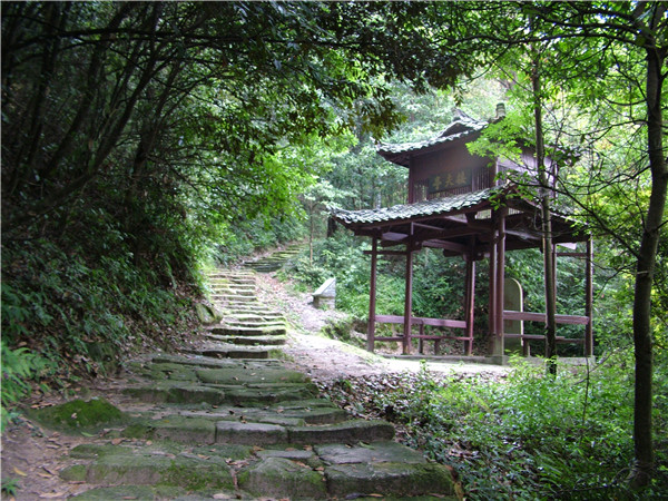 A scenic view of Yichun Hualin Zaozhi Zuofang Yizhi