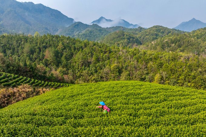 A scenic view of Yichun Mazu Tating