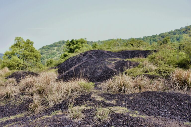 Explore Yichun Mengshan Yinkuang Yizhi: A Journey Through Jiangxi’s Rich Heritage