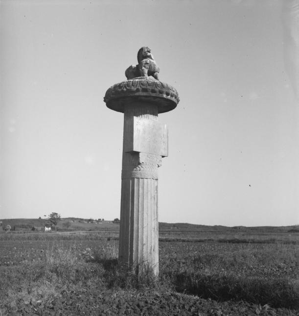 A scenic view of Yichun Wuping Muqun