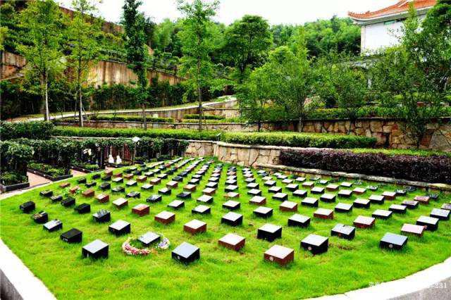 A scenic view of Yichun Wuping Muqun