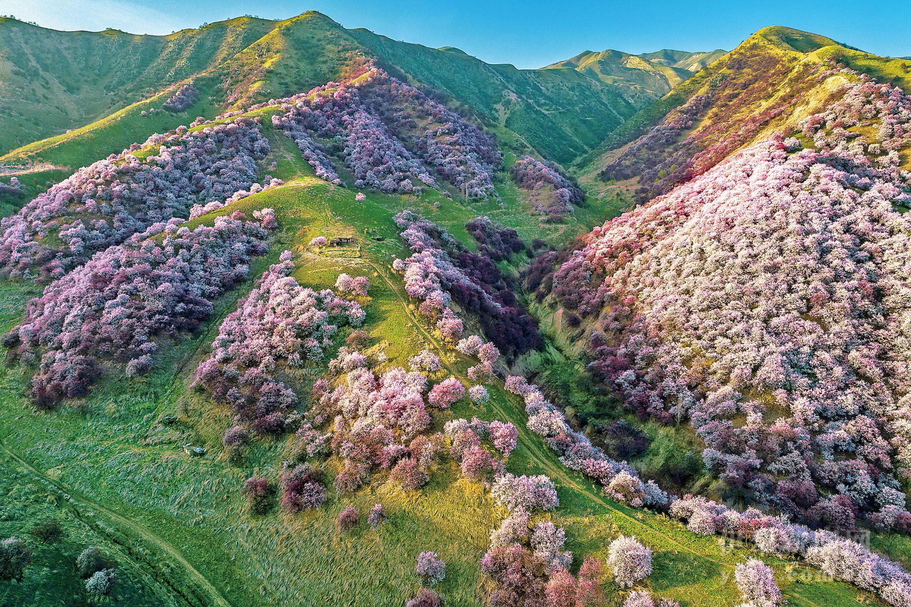 A scenic view of Yili Huiyuan Xin Lao Gucheng Yizhi
