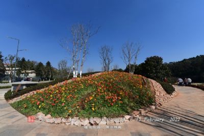 A scenic view of Yili Nadaqi Niulu Guandimiao