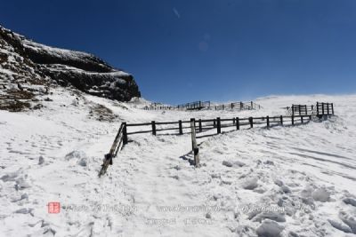 A scenic view of Yili Nadaqi Niulu Guandimiao