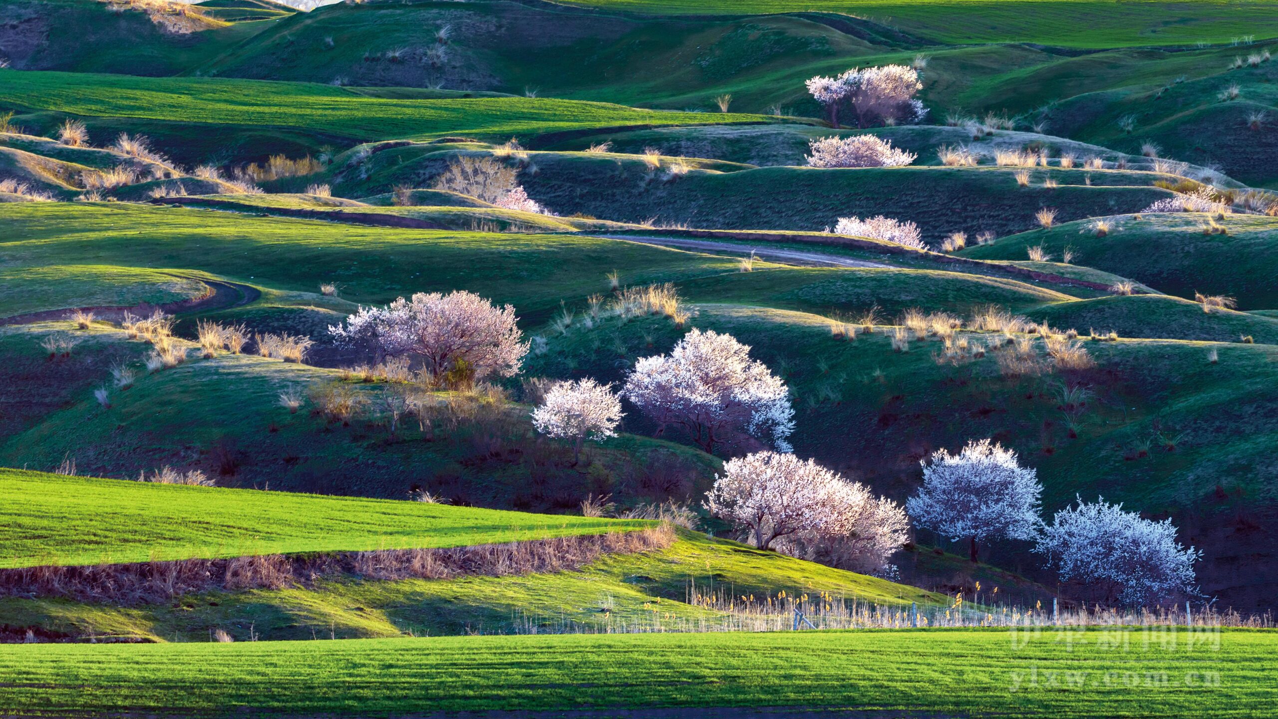 A scenic view of Yili Qingdai Kalun Yizhi