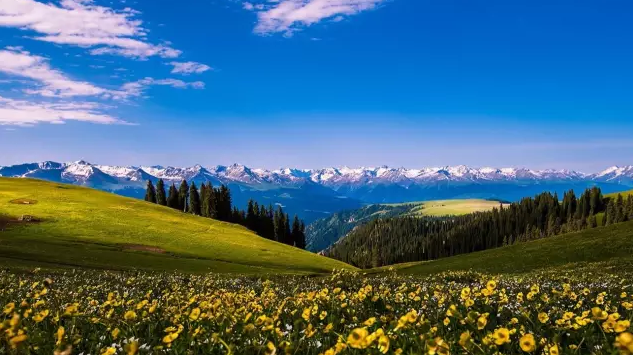 A scenic view of Yili Qingdai Kalun Yizhi