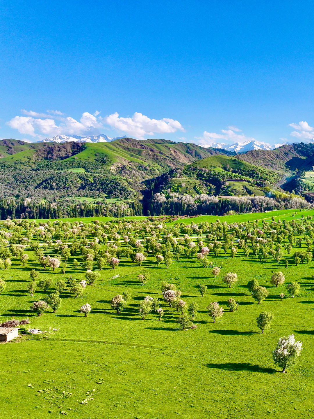 A scenic view of Yili Qingdai Kalun Yizhi