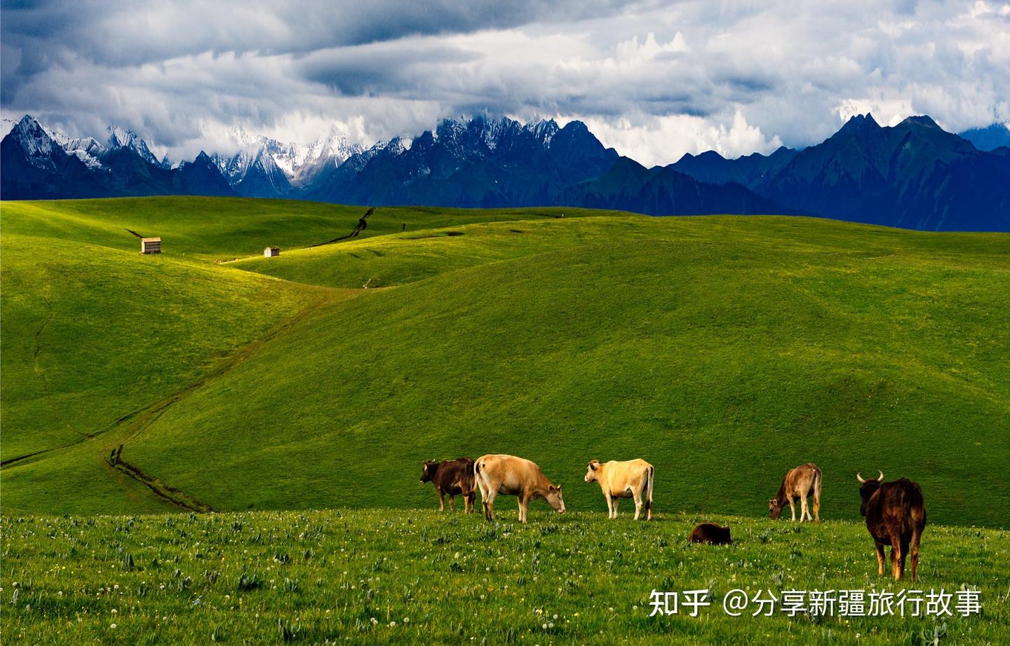 A scenic view of Yili Sutan Waisihan Mazha