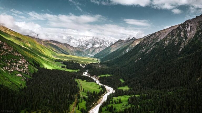 Discover the Enigmatic Yili Xiata Gucheng Yizhi: A Journey Through History in Xinjiang