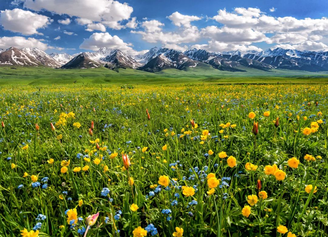A scenic view of Yili Yining Jiangjunfu