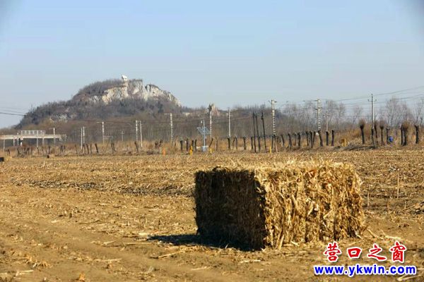 A scenic view of Yingkou Jinniushan Yizhi