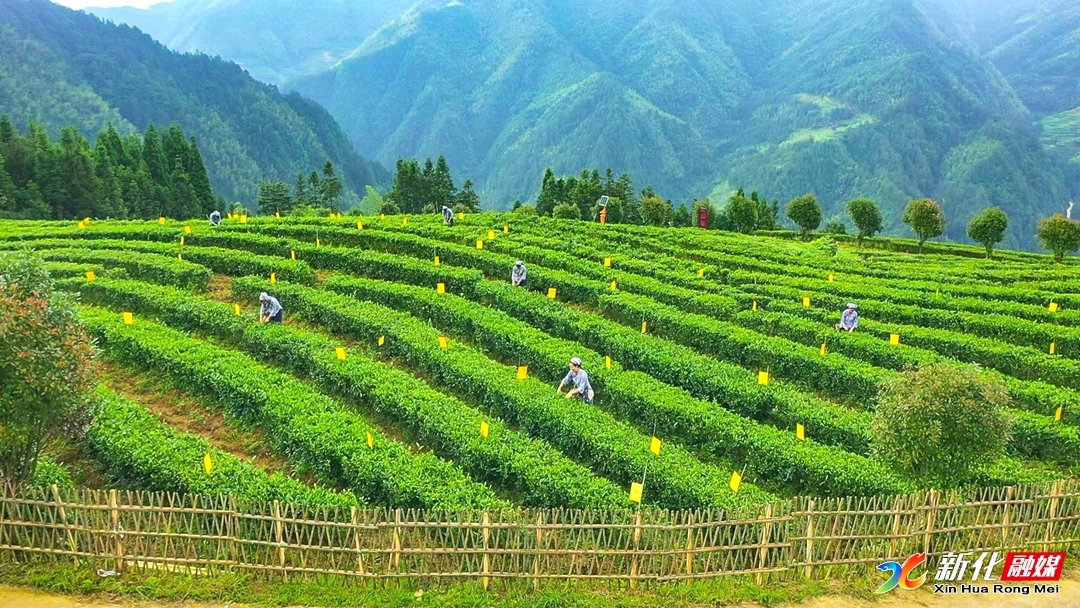A scenic view of Yiyang Qujiang Chayuan