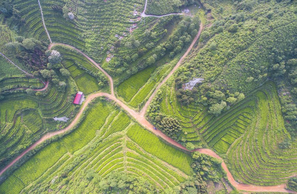 A scenic view of Yiyang Qujiang Chayuan