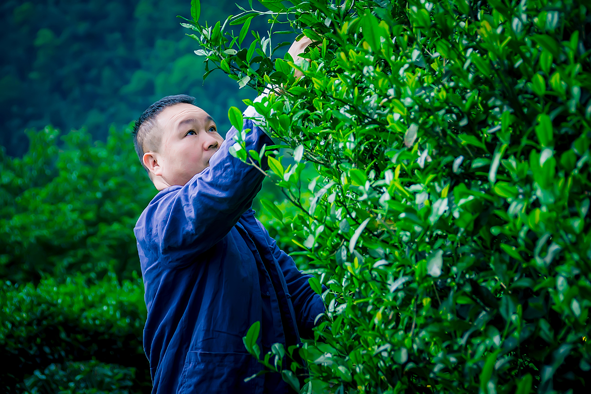 A scenic view of Yiyang Qujiang Chayuan