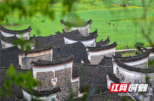 A scenic view of Yongzhou Lianxi Guli Gujianzhuqun
