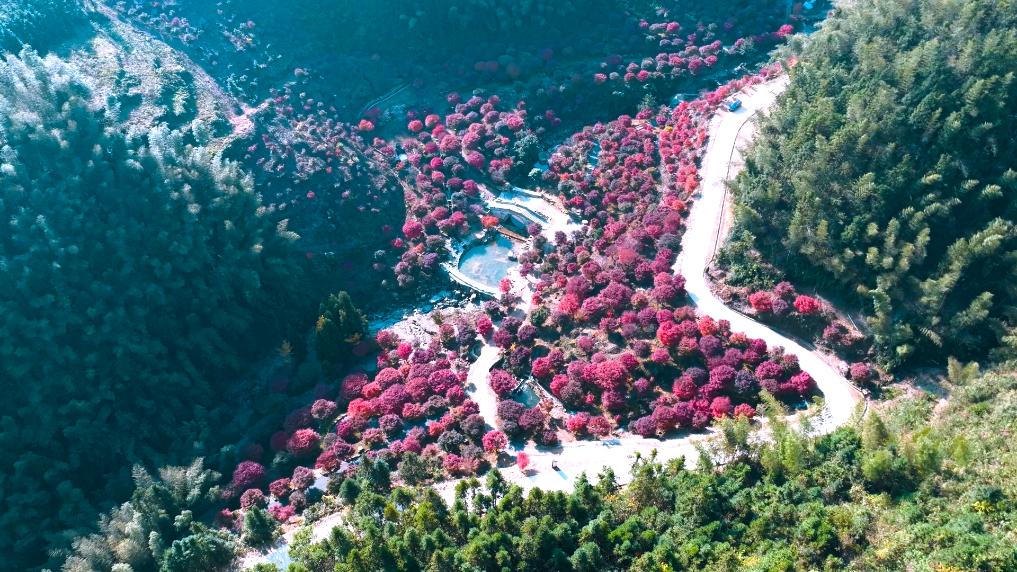 A scenic view of Yongzhou Shude Shanzhuang