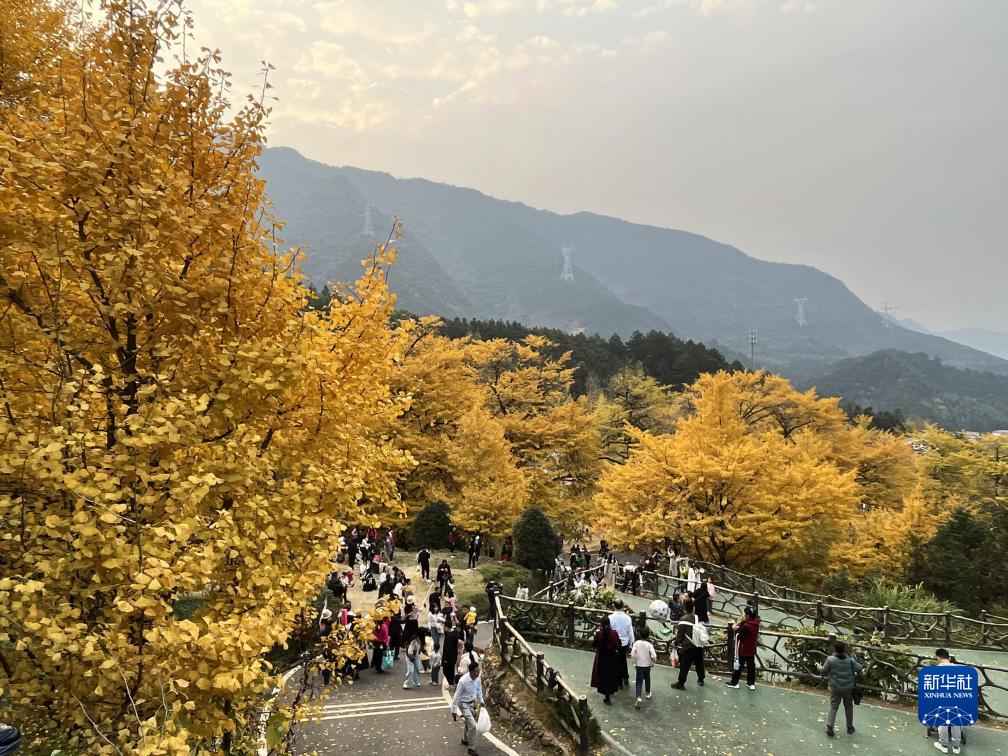 A scenic view of Yongzhou Shude Shanzhuang