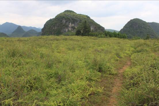 A scenic view of Yongzhou Yunshan Yujing Guyao Zhi