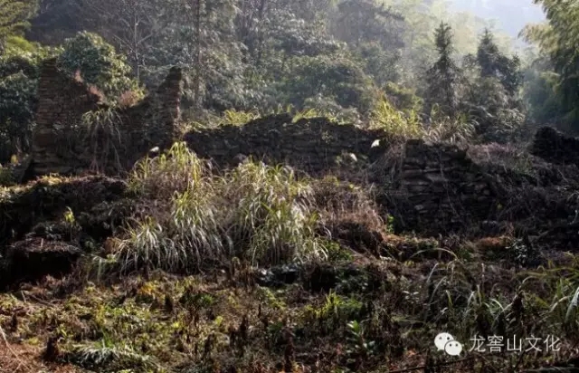 A scenic view of Yueyang Longjiaoshan Duishimuqun