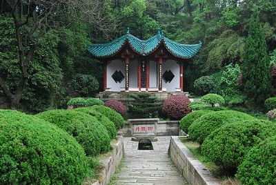 A scenic view of Yueyang Longjiaoshan Duishimuqun