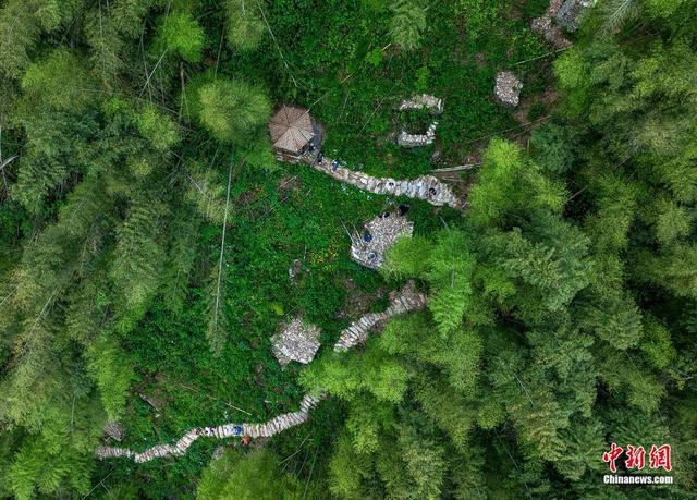 A scenic view of Yueyang Longjiaoshan Duishimuqun