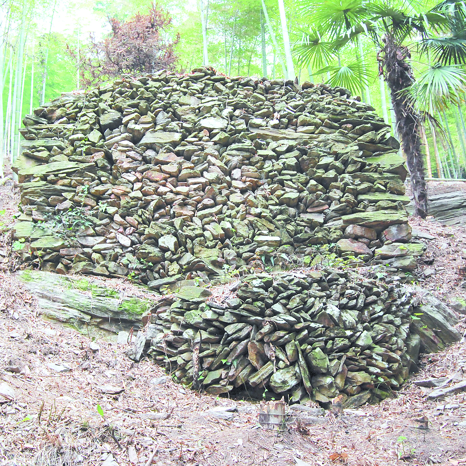 A scenic view of Yueyang Longjiaoshan Duishimuqun