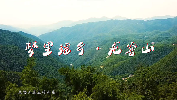 A scenic view of Yueyang Longjiaoshan Duishimuqun