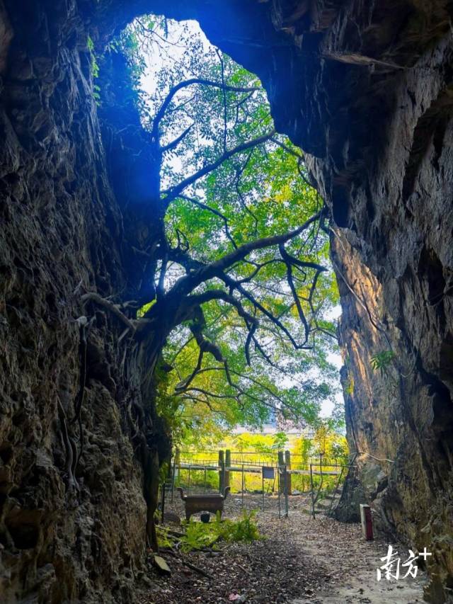A scenic view of Yueyang Tonggushan Yizhi