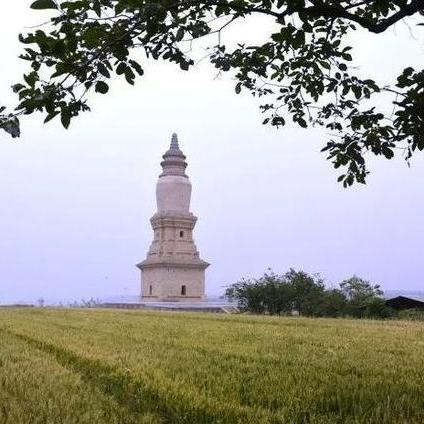 A scenic view of Yuncheng Beixin Relic Pagoda
