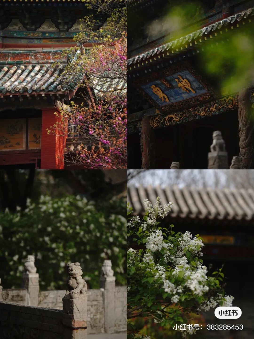 A scenic view of Yuncheng Changchun Guan Jiangxian