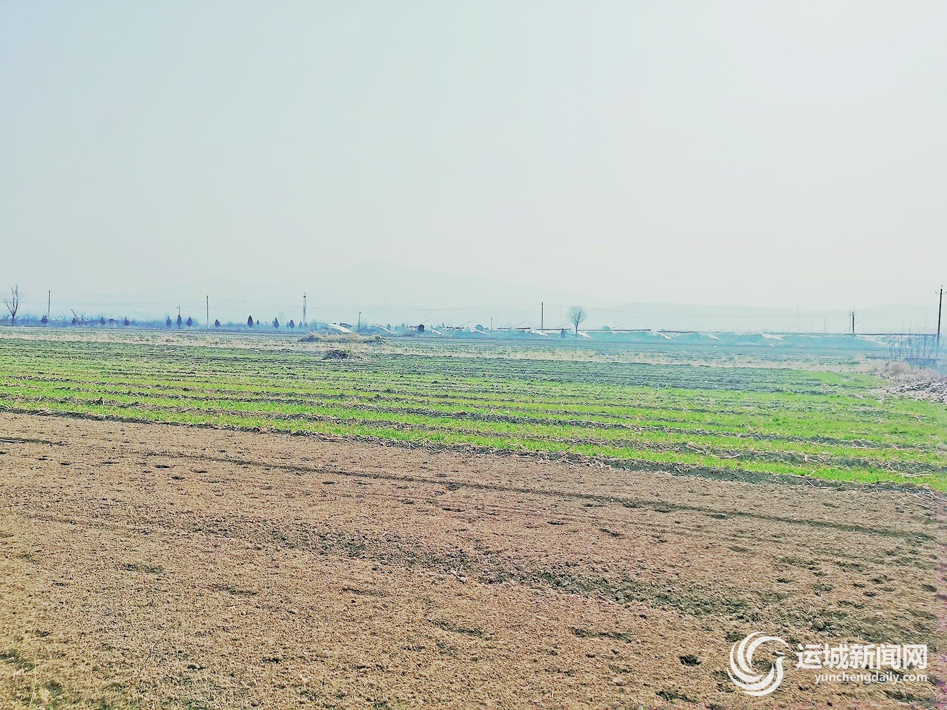 A scenic view of Yuncheng Dongxiafeng Site