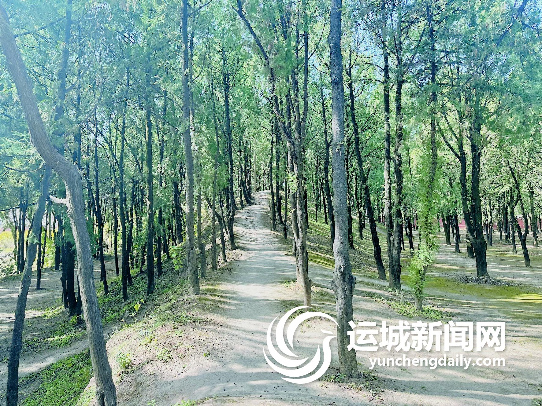 A scenic view of Yuncheng Guwei City Site