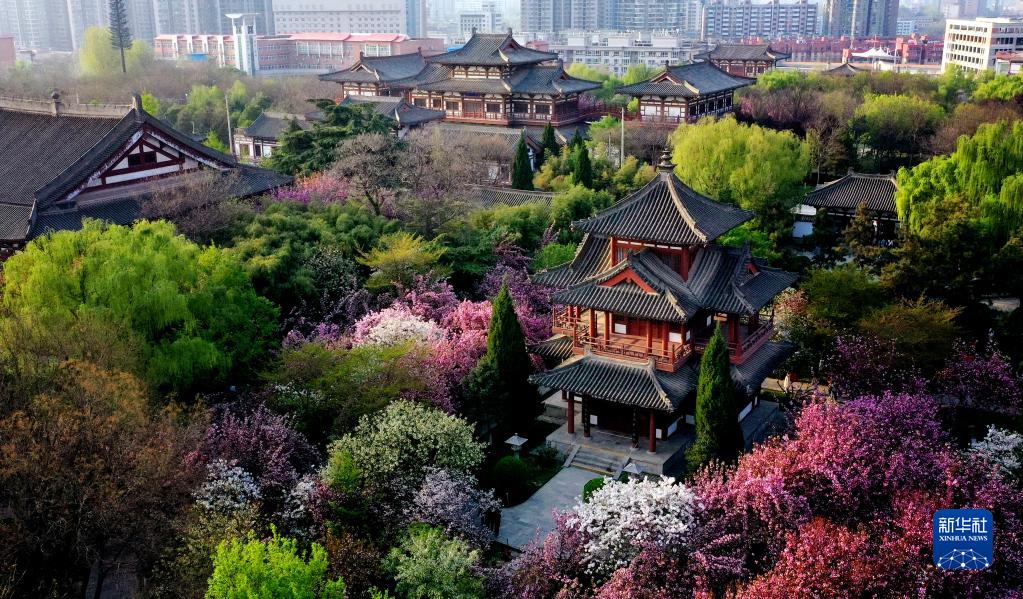 A scenic view of Yuncheng Qinglong Temple Jishan