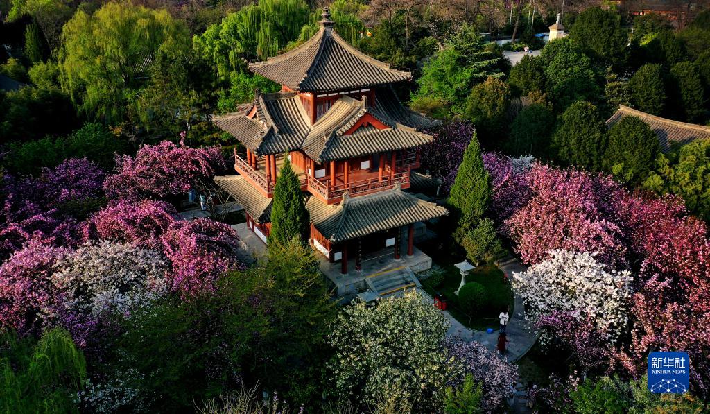 A scenic view of Yuncheng Qinglong Temple Jishan
