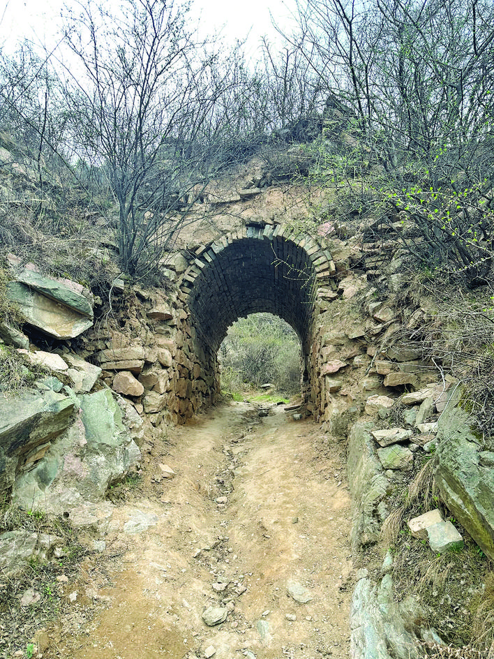 A scenic view of Yuncheng Qiyan Temple Pagoda Forest